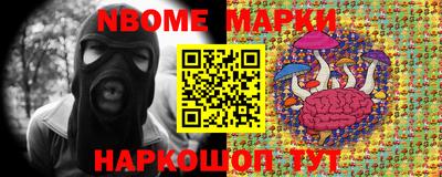 гашик Гусев