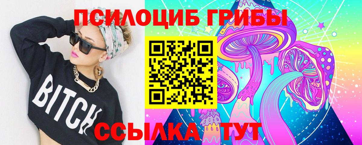 Галлюциногенные грибы Psilocybine cubensis Лесосибирск